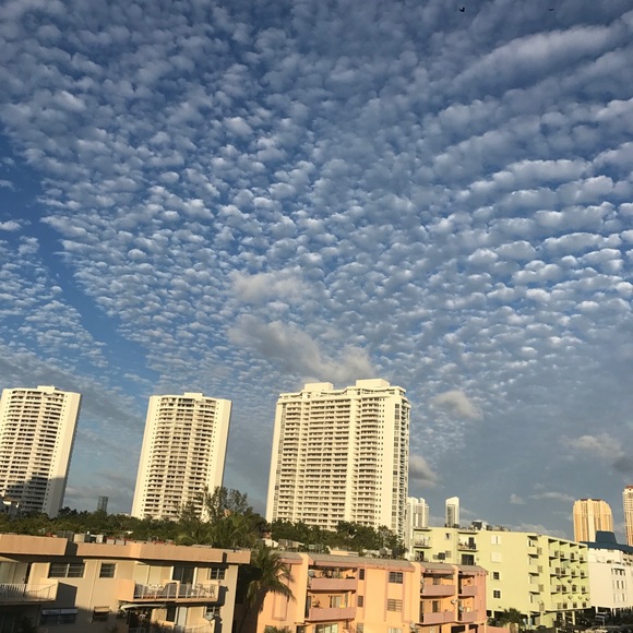 Meet your Posher, David - Picture 1 of 1